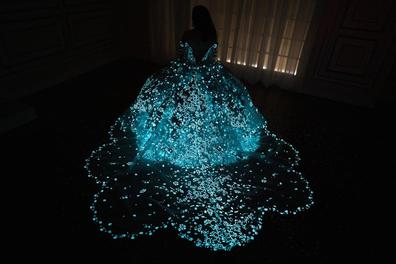 Princesa by Ariana Vara Dress PR30172