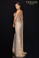 Terani Pageant Dress 2012GL2390