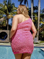 Curvy by Primavera Dress 14023