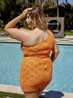 Curvy by Primavera Dress 14023