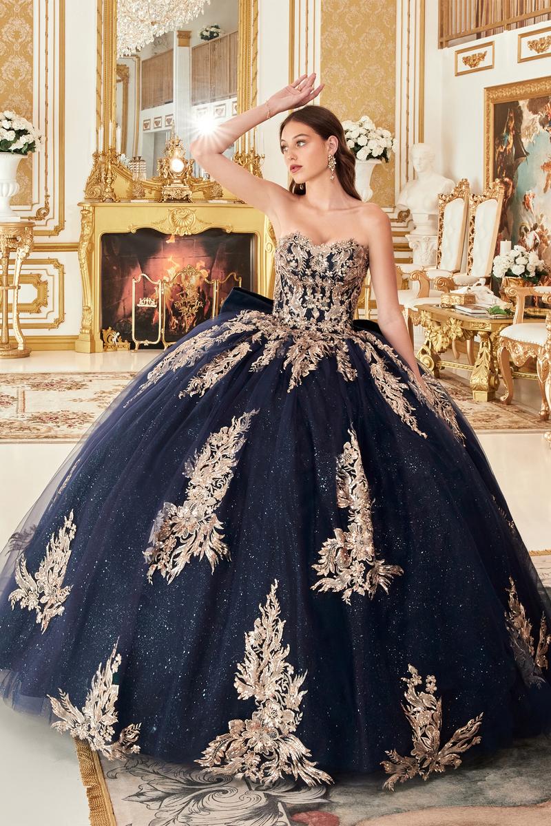 Shop Quinceanera Dresses and Gowns | Terry Costa