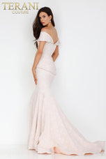 Terani Mother of the Bride Dress 1812M6657