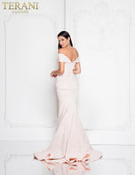 Terani Mother of the Bride Dress 1812M6657