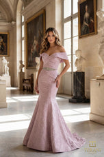 Terani Mother of the Bride Dress 1812M6657