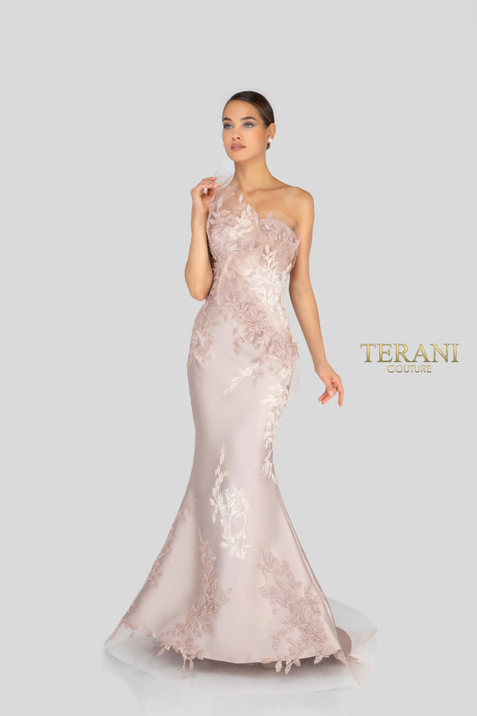 Terani Evenings Dress 1911E9095