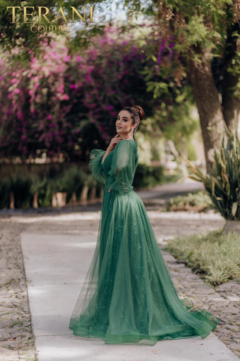 Terani Mother of the Bride Dress 1913M9414