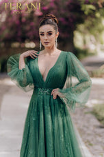 Terani Mother of the Bride Dress 1913M9414