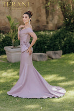 Terani Mother of the Bride Dress 2011M2160