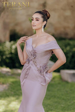 Terani Mother of the Bride Dress 2011M2160
