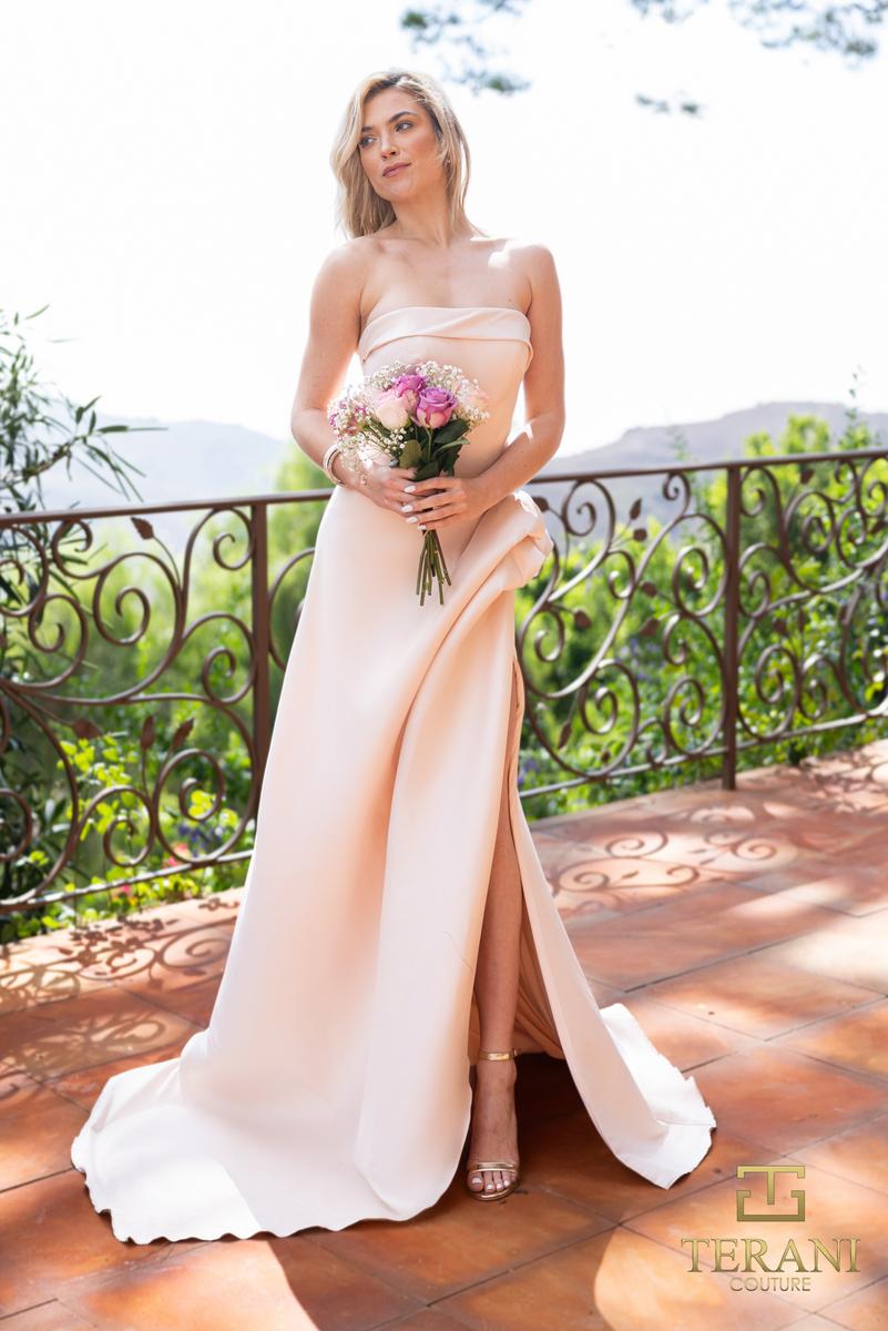 Terani Mother of the Occasion Dress 2111P4019