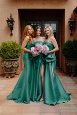 Terani Mother of the Occasion Dress 2111P4019