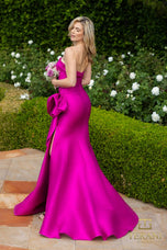 Terani Mother of the Occasion Dress 2111P4019