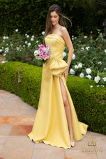 Terani Mother of the Occasion Dress 2111P4019