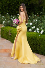 Terani Mother of the Occasion Dress 2111P4019