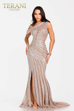 Terani Evenings Dress 231E0621