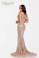 Terani Evenings Dress 231E0621