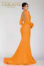 Terani Long Sleeve Feather Dress 231P0074