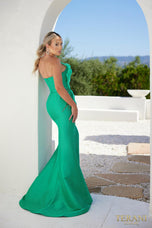 Terani Evenings Dress 241E2411