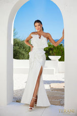 Terani Evenings Dress 241E2411