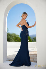 Terani Evenings Dress 241E2411