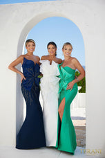 Terani Evenings Dress 241E2411