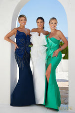 Terani Evenings Dress 241E2411