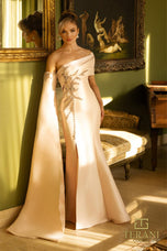 Terani Mother of the Bride Dress 242M3311