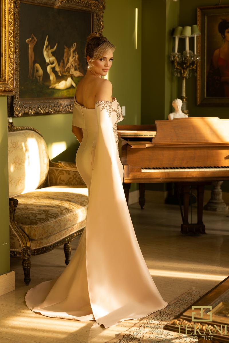 Terani Mother of the Bride Dress 242M3311