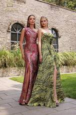 Terani Evenings Dress 251E4254