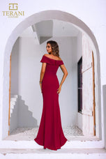 Terani Mother of the Bride Dress 251M4444