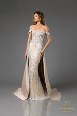 Terani Evenings Dress 251E3233