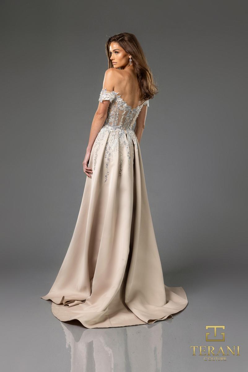 Terani Evenings Dress 251E3233