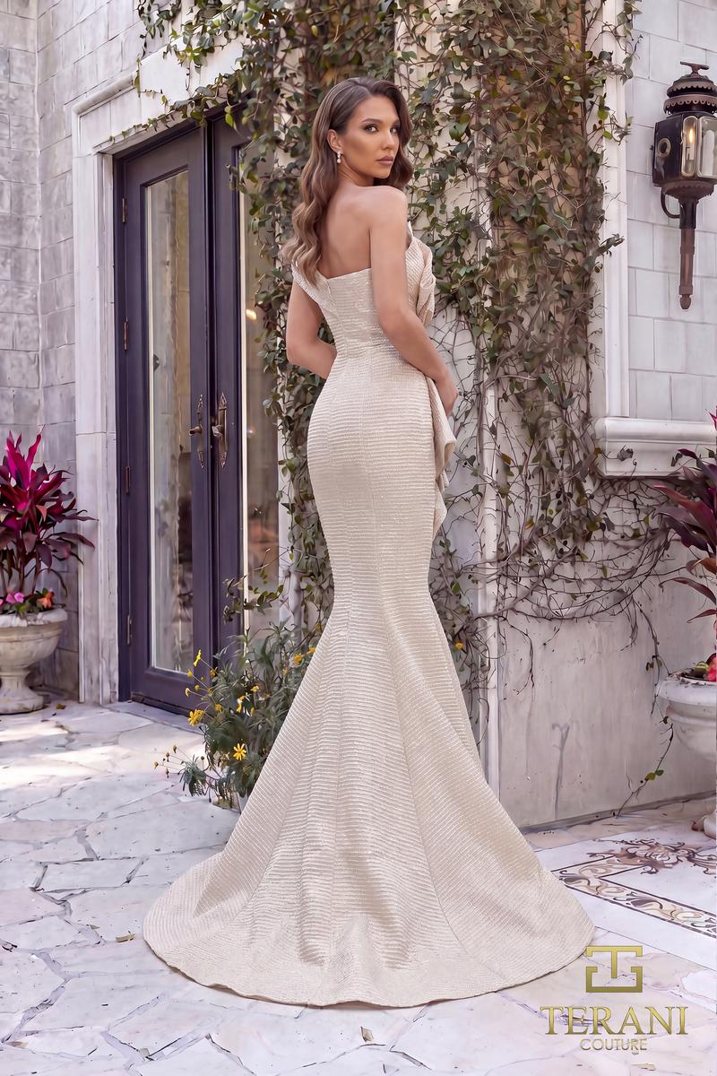 Terani Evenings Dress 251E4201