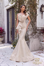 Terani Evenings Dress 251E4201