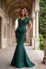 Terani Evenings Dress 251E4201