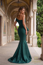 Terani Evenings Dress 251E4201