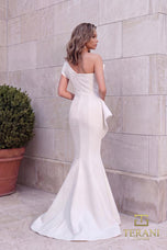 Terani Evenings Dress 251E4201
