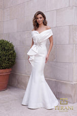 Terani Evenings Dress 251E4201