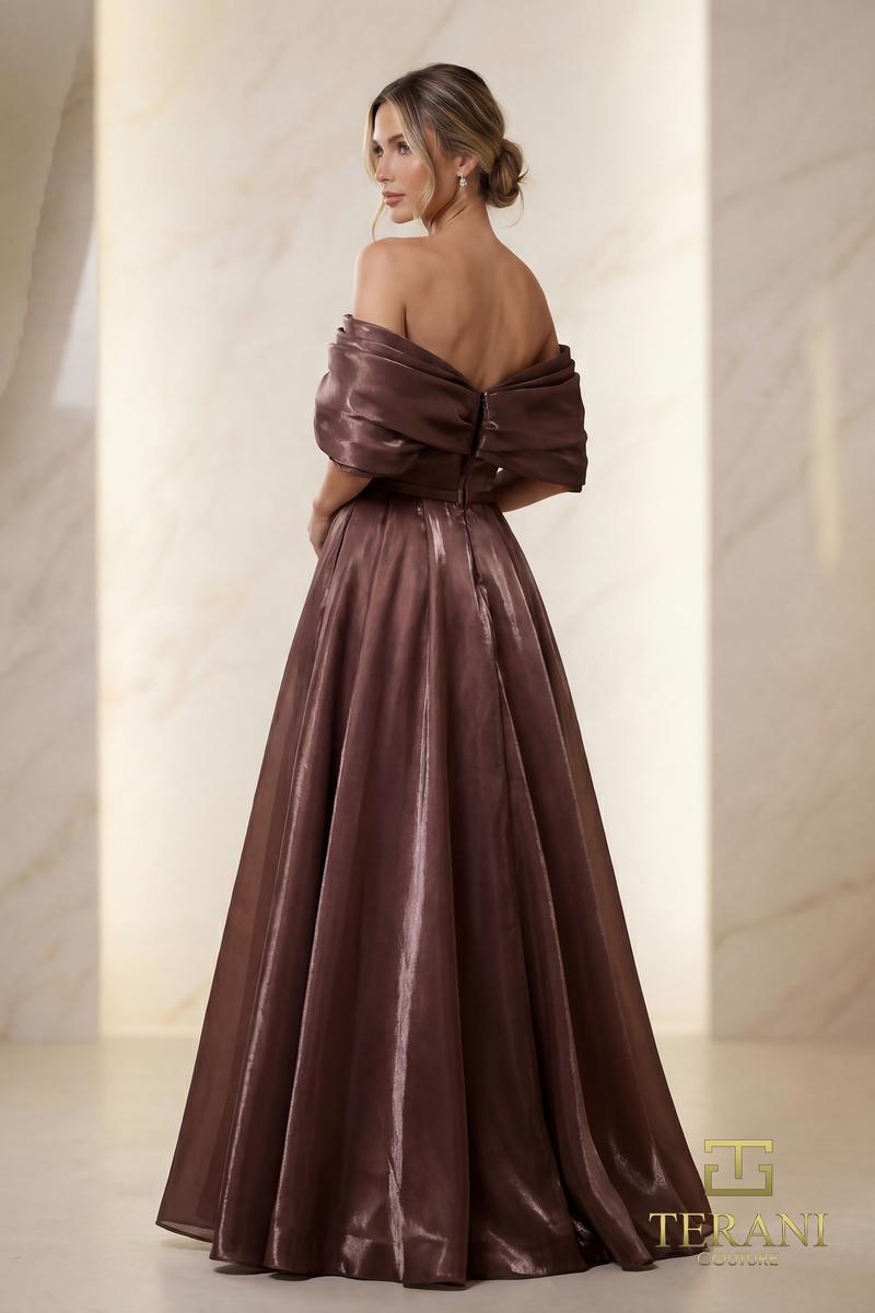 Terani Mother of the Bride Dress 251M4044