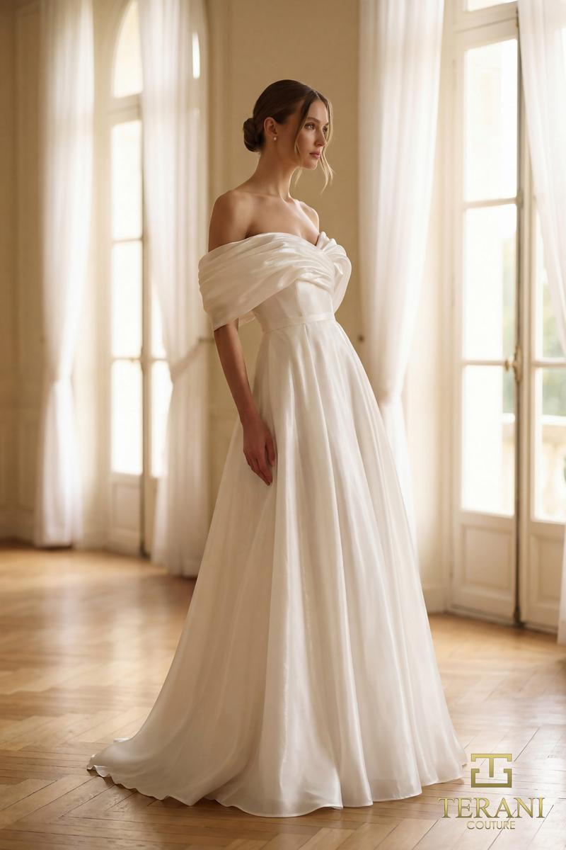 Terani Mother of the Bride Dress 251M4044