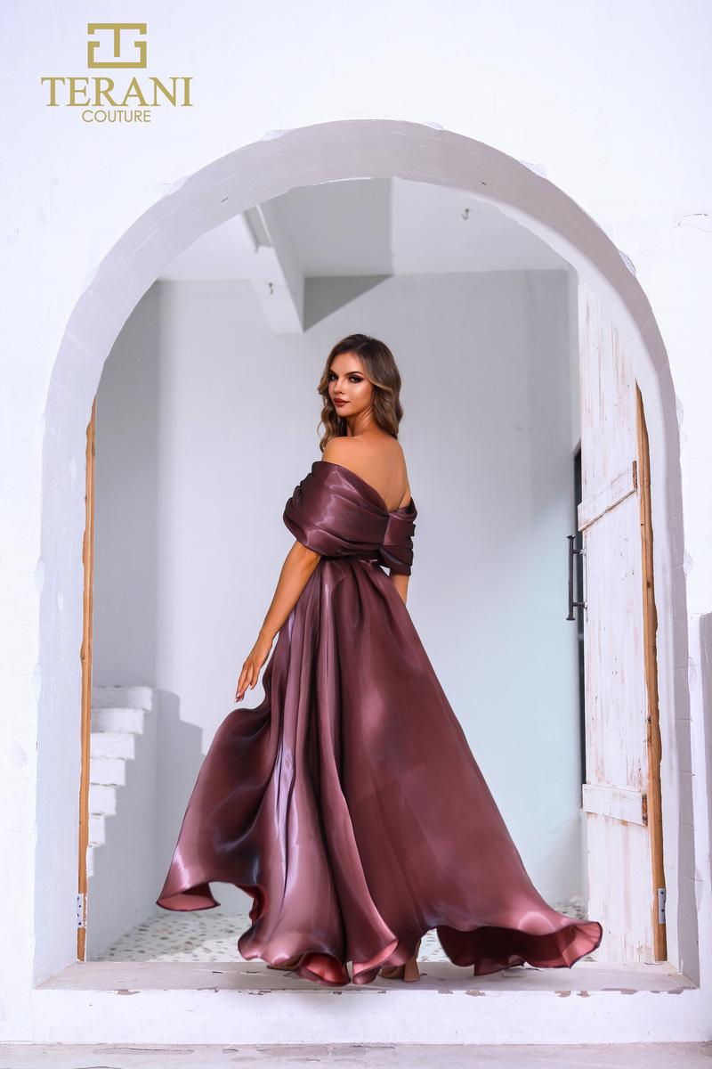 Terani Mother of the Bride Dress 251M4044