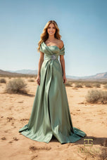 Terani Mother of the Bride Dress 251M4441