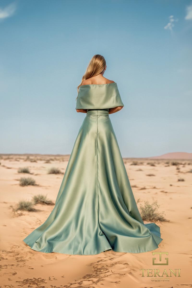 Terani Mother of the Bride Dress 251M4441