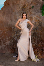 Terani Bodycon Long Overskirt Evening Dress 252E5116