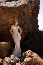 Terani Evenings Dress 252E5144
