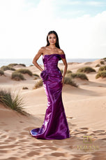 Terani Evenings Dress 252E5162