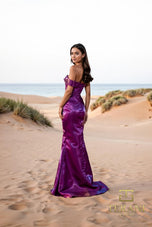 Terani Evenings Dress 252E5162