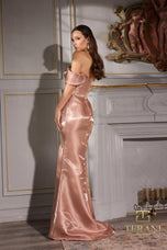 Terani Evenings Dress 252E5162