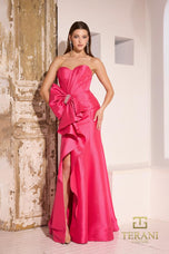 Terani Evenings Dress 252E5544