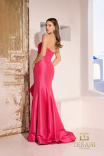 Terani Evenings Dress 252E5544